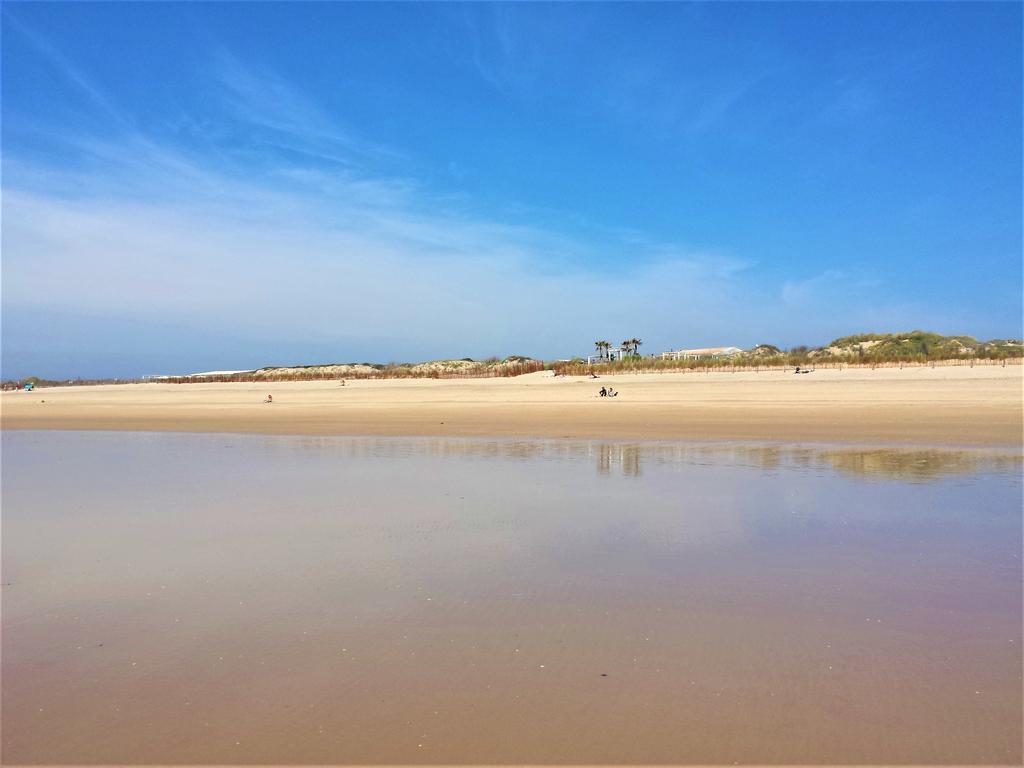 Ocean Beach House Hotel Costa da Caparica Exterior foto